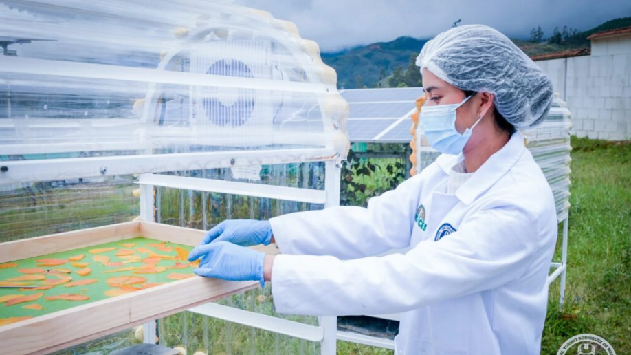 UNTRM evalúa tecnologías solares para conservar frutas en Amazonas